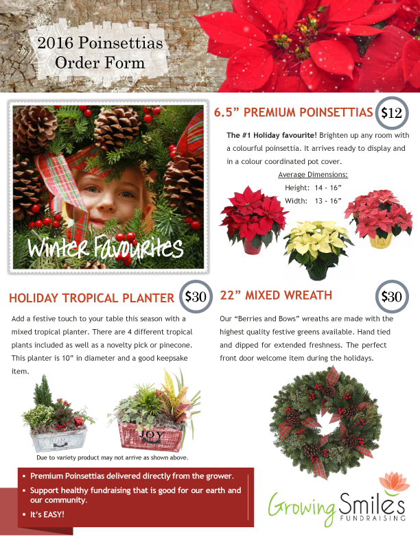 Poinsettias & Wreaths